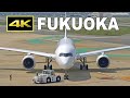 [4K] Plane Spotting on June 8, 2021 at Fukuoka Airport in Japan / 福岡空港 / Fairport