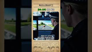 과속 단속에 걸린 오리의 충격적인 정체 #쇼츠 #실화 #웃긴뉴스 #황당뉴스 #오리 #과속단속 #스위스 #귀여운동물 #믿기어려운 #충격적인사실