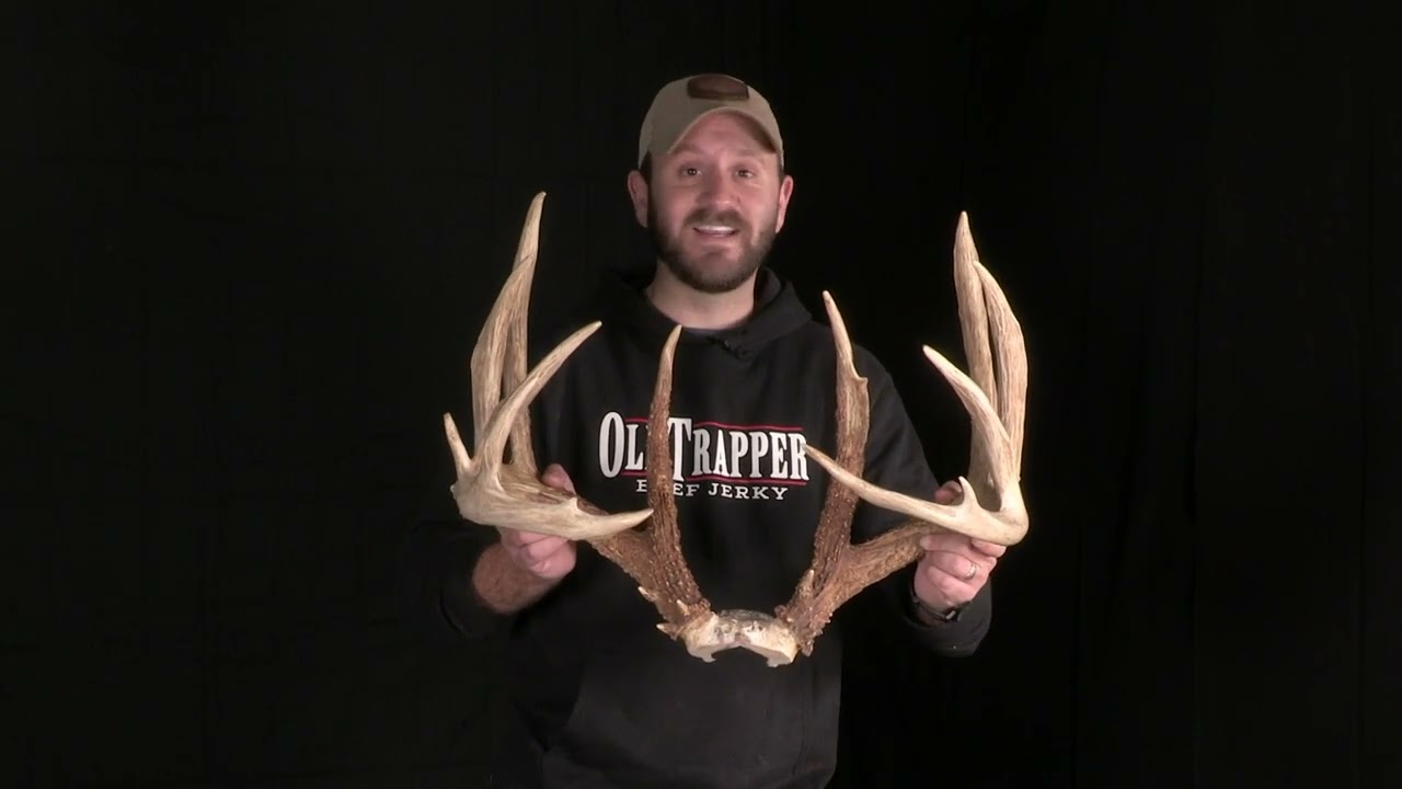 Рекорд штата Мичиган: типичный самец!