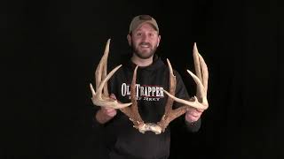 Michigan’s State Record Typical Buck!