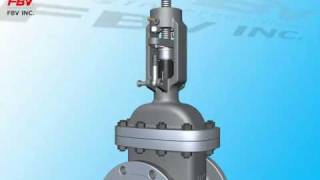 FBV Gate Valve