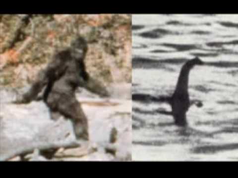 Video: Nessie, Bigfoot E Vampires - Visualizzazione Alternativa