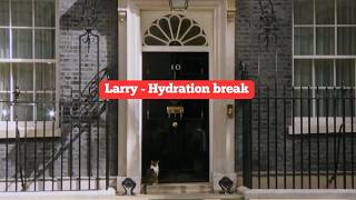 Download lagu Larry, The Downing Street Cat - Hydration break