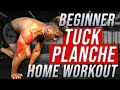 20 MIN at HOME Beginner TUCK PLANCHE Workout (No Equipment Needed)