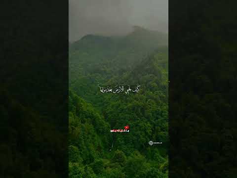 ف انظ ر إ ل ى آث ار ر ح م ت الل ه المنشاوي 