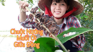 Chuột Nướng Muối Ớt Ngoài Đồng - HVMT