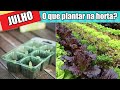 JULHO: Saiba o que plantar na sua região no INVERNO (e o que acontece se plantar fora de época?)
