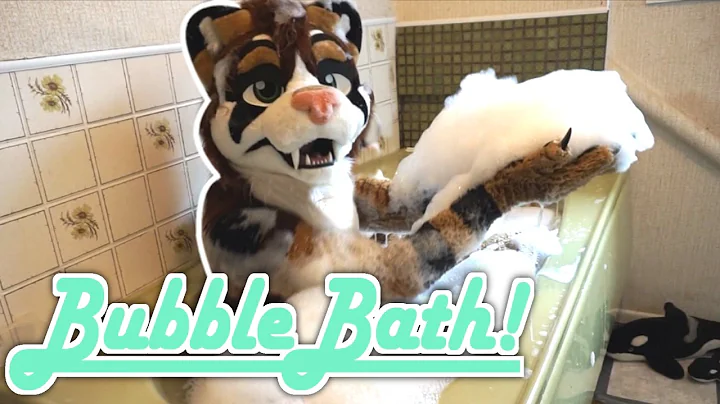 Video 1569811: bath wash, cat washing, first bath
