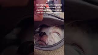 Não vamos julgar a mãe da Doguinha 🐕❤️