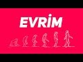 yasaklı teori: evrim