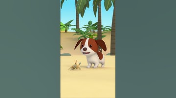 Crabby Surprise at the Beach! 🦀 | Leo the Wildlife Ranger | #shorts #fun