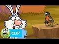 Brooks the Bird's Migration Journey