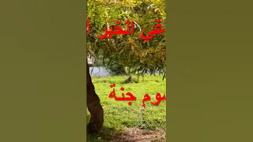 يا باغي الخير أقبل 