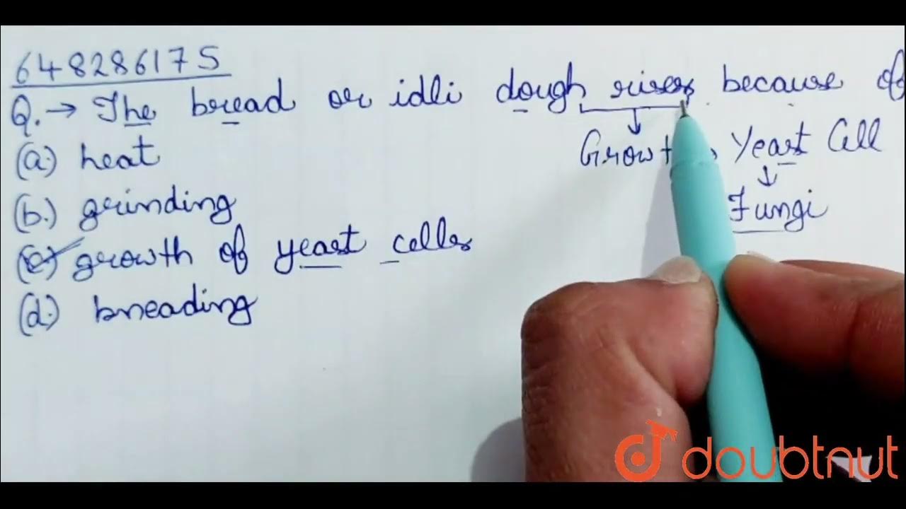 The bread or idli dough rises because of CLASS 9