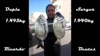 Dupla de sargos pesca sub / spearfishing