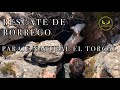 🎥 RESCATE DE BORREGO #PARAJENATURALELTORCAL