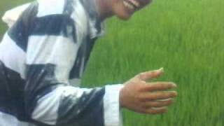 Download Lagu video ultah lucu by @rdhiez MP3