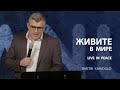 Живите в мире! | Пастор Дмитрий Сариогло | 02/26/2023