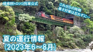 嵯峨野トロッコ列車 夏の運行情報(2023年6～8月)【乗車前にご覧下さい】【青もみじ】