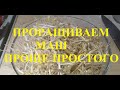 ПРОРАЩИВАЕМ МАШ ПРОЩЕ ПРОСТОГО.  WE GREAT MASH AS EASY AS YOU CAN.