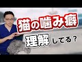 【猫に噛まれる】噛み癖の解決方法を獣医さんが紹介