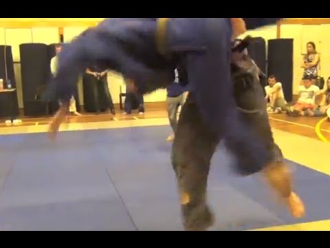 SuBmission Grappling Why judo mats & why throws should count