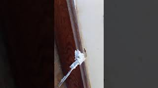 Example of Patching with MH Ready Patch