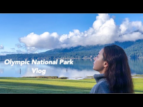 VLOG 미국 시애틀 브이로그 | 미국 워싱턴주 여행 | Olympic National Park | Hoh Rain Forest | Hurricane Ridge |