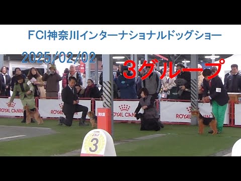 ＦＣＩ神奈川インターナショナルドッグショー ３G　＃テリア