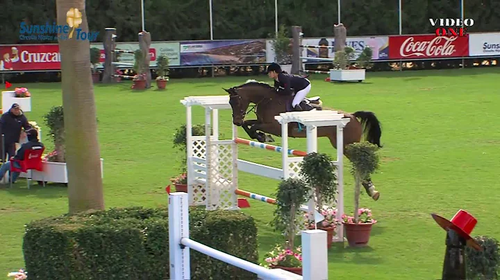 CONTENDRO STAR, Joanne Whitaker