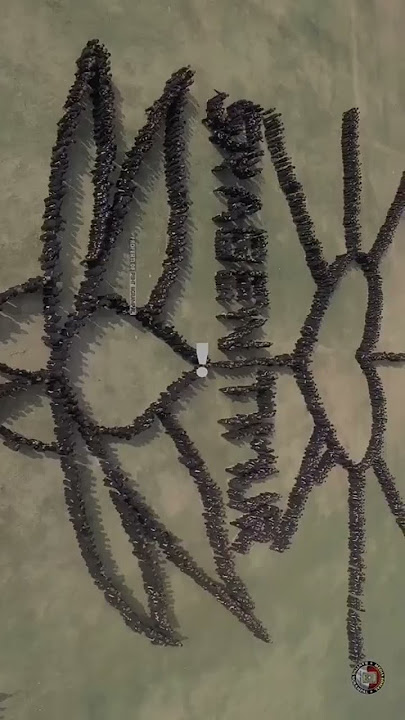 SH TERATE JAYA🙏💪