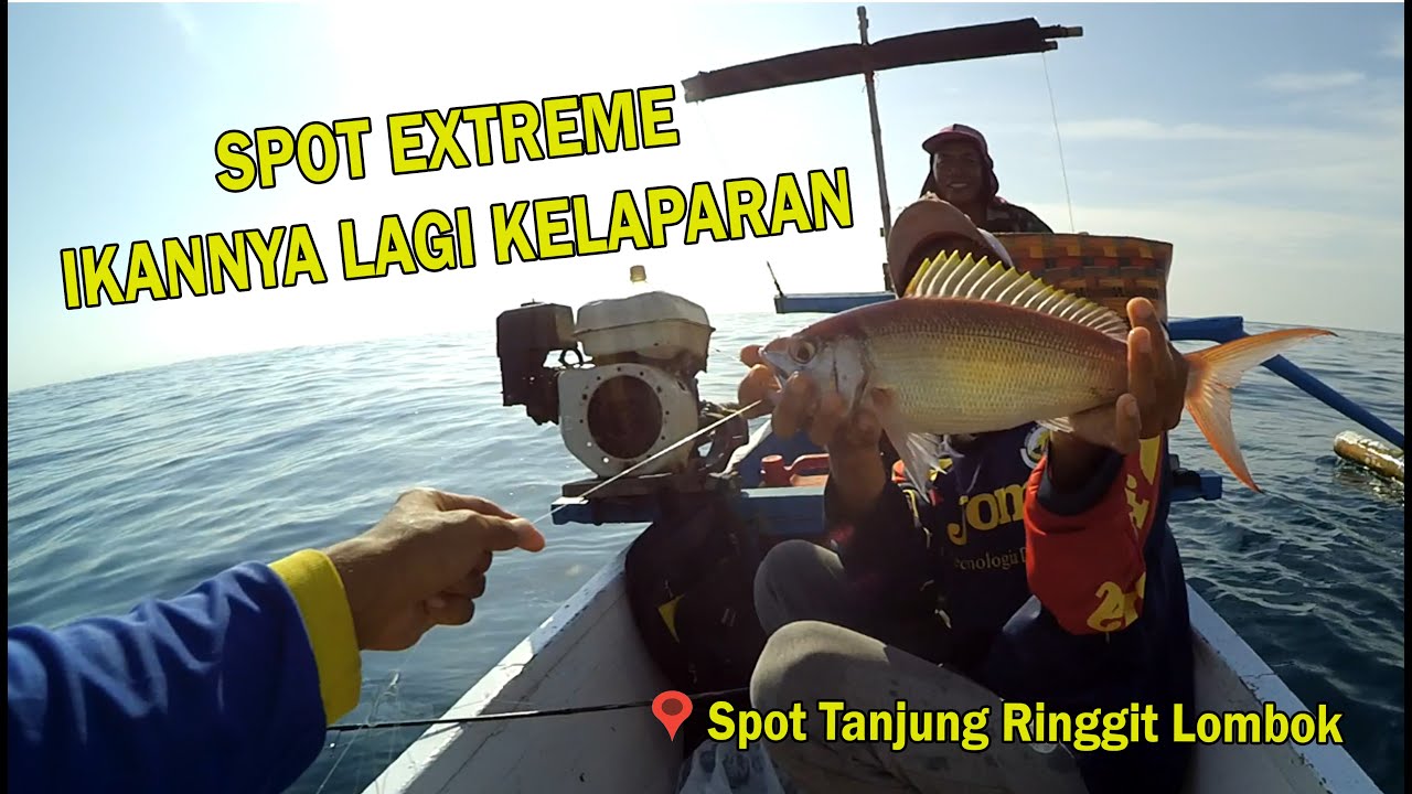 Mancing Dasaran Di Spot Extreme - Banyak Kejutan - VLOG Tanjung Ringgit #Lombok #MancingMania