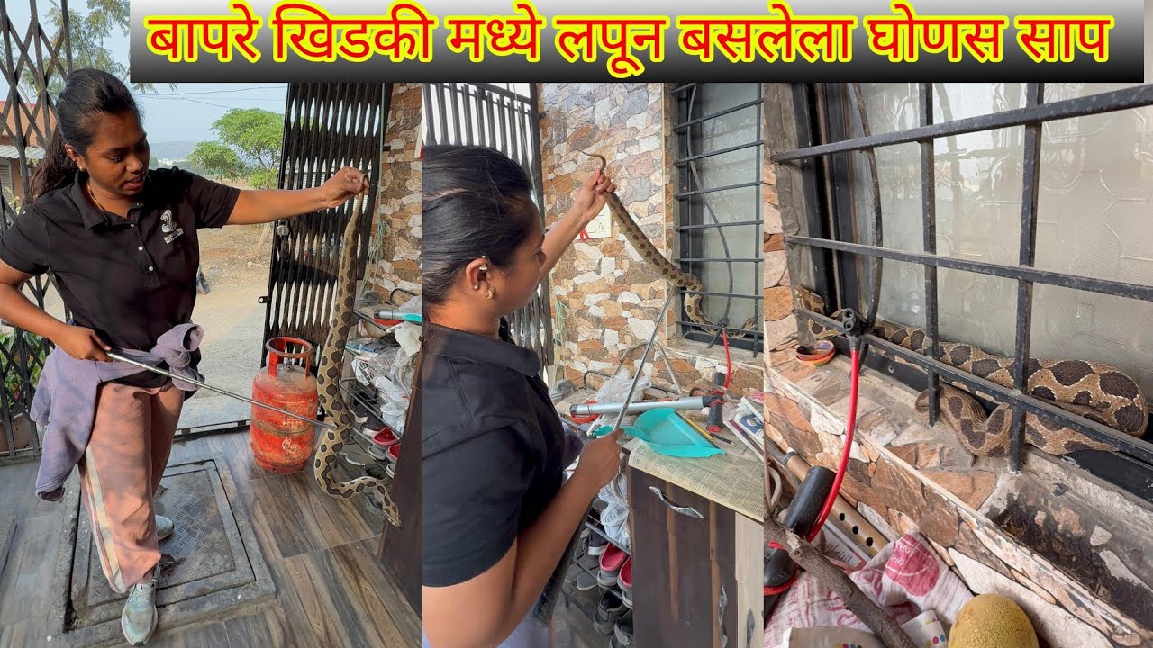 😱😳बापरे बाप खिडकीमध्ये लपून बसलेला विषारी जातीचा घोणस साप🐍😱#omg #snake #windows #parking 