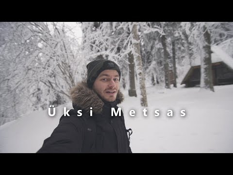 Video: Miks Peaksite üksi Reisima