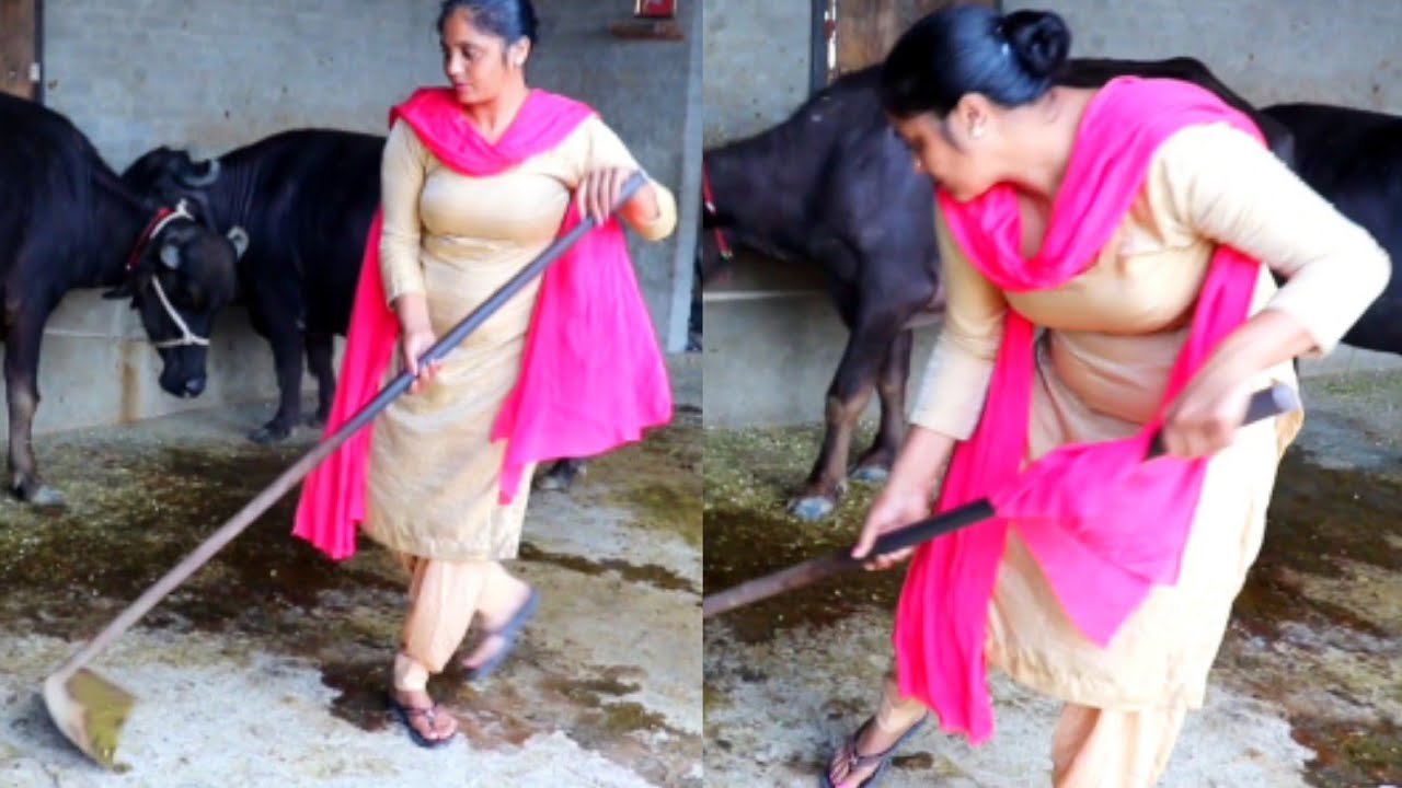 Punjabi Village daily Routine // Village Life of Punjab // Indian rural life of Punjab