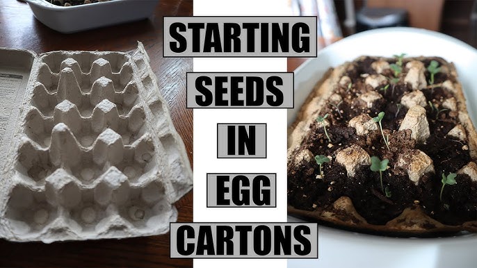 9 Uses For Egg Cartons