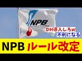 NPB 来季に向けてのルール改定を発表!!!【野球情報】【2ch 5ch】【なんJ なんG反応】【野球スレ】