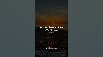 سوره یونس|ترجمه قرآن|لحظه‌ای آرامش |