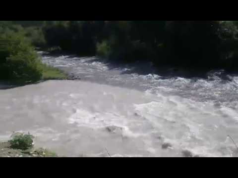 ფასანაური