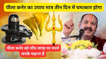 पीला कनेर पुष्प को केवल पाँच जगह का स्पर्श कराना है | केवल तीन दिनों मे चमत्कार होगा #viral #kaner