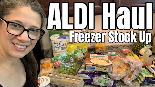 ALDI Grocery Haul | Stocking Up the Freezer | Lidl and Walmart Haul | Easy Meal Plan