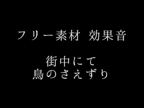 フリー素材 鳥のさえずり Youtube フリー素材 鳥のさえずり Youtube