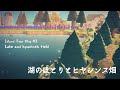 【あつ森】湖のほとりとヒヤシンス畑をお散歩/島マップ紹介【Animal Crossing New Horizons】Island Tour Vlog#3