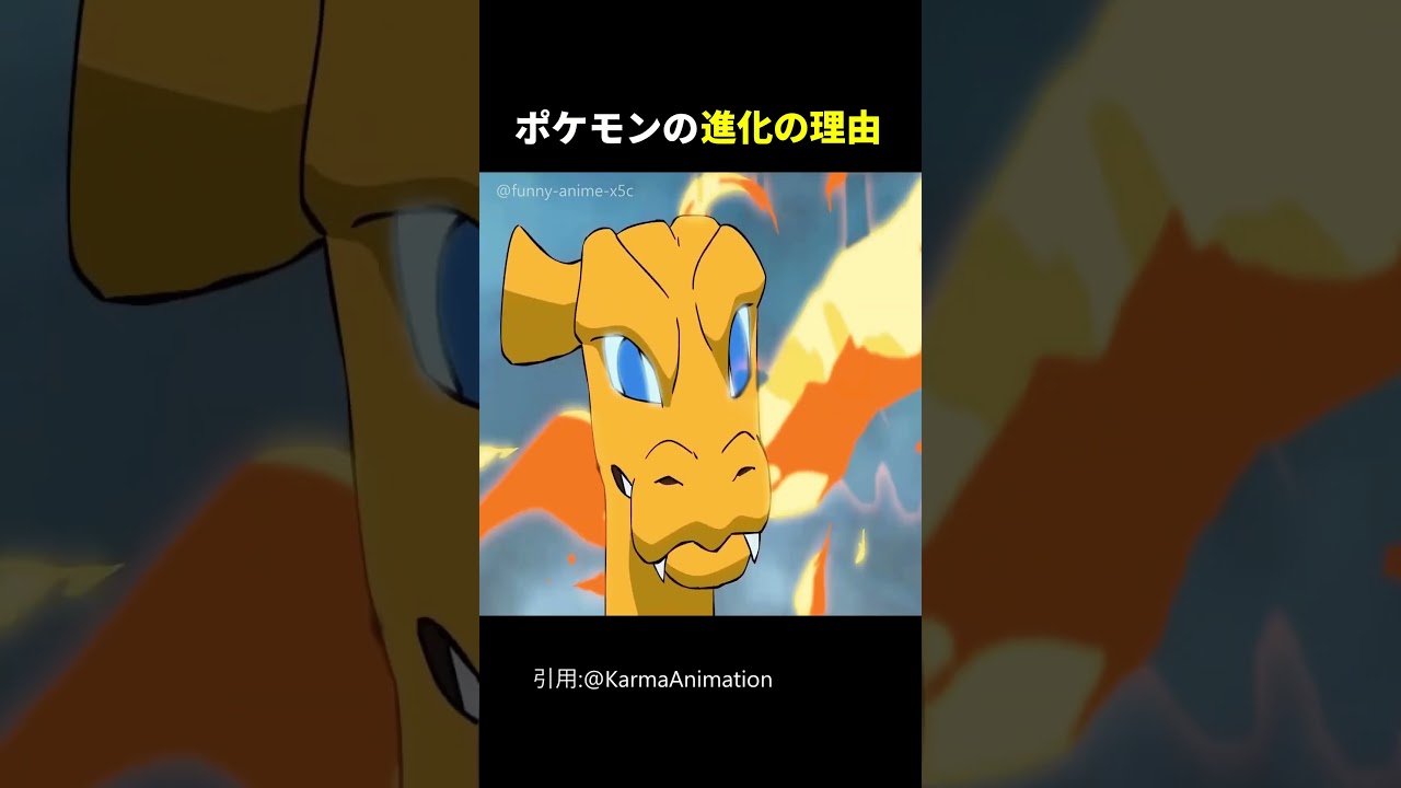 野生のポケモンの進化の仕方