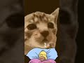 Just a real thing cats 😺🐈