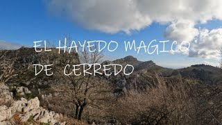 HAYEDOS MAGICOS de Cantabria excursiones faciles