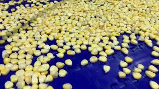 IQF sweet corn kernels