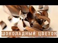 Шоколадные цветы. Самый простой цветок. Почти...