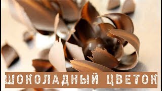 видео: Шоколадные цветы. Самый простой цветок. Почти... картинка: Шоколадные цветы. Самый простой цветок. Почти...
