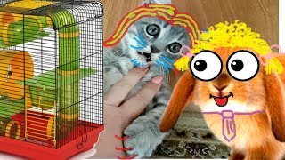 НОВАЯ КОМНАТА ДЛЯ КОТЕНКА Макса и щенка Алисы Часть 2 РУМ ТУР НОВАЯ КОМНАТА ДЛЯ КОТЕНКА Макса и щенка Алисы Часть 2 РУМ ТУР